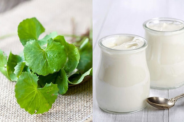 Rau má kết hợp với sữa chua vừa trị mụn vừa dưỡng da chắc khỏe