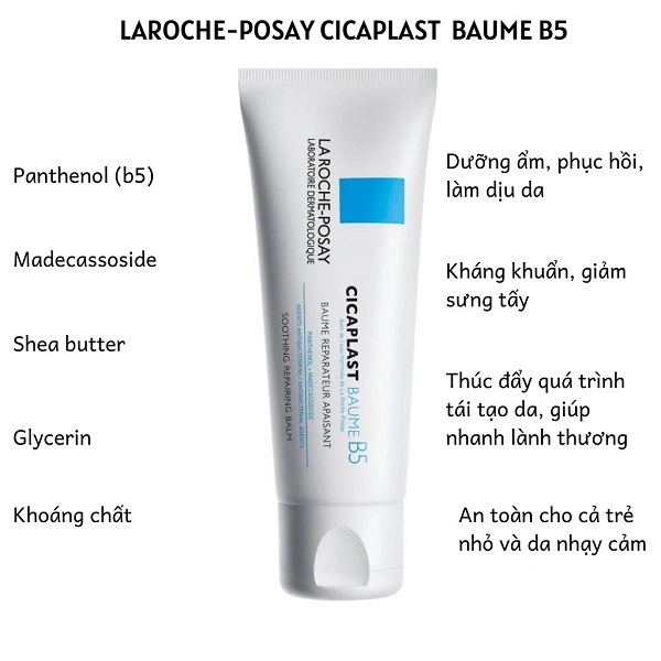 Chi tiết các thành phần của B5