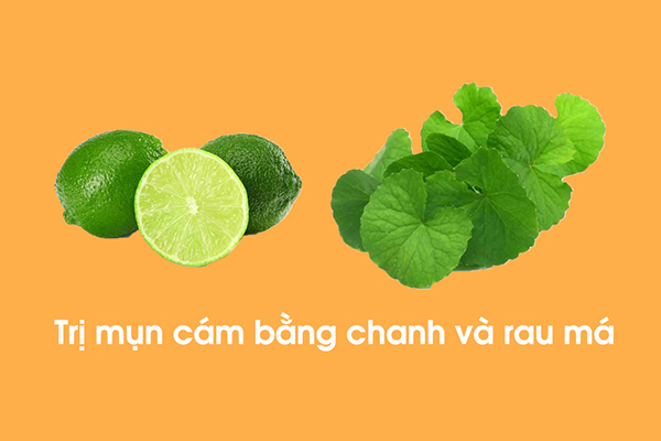 Kết hợp chanh và rau má giúp loại bỏ các tế bào da chết một cách nhẹ nhàng