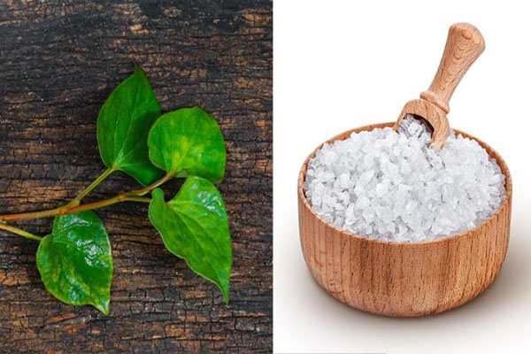 Chuẩn bị sẵn rau diếp cá và muối tinh để làm hỗn hợp mặt nạ trị mụn