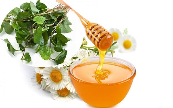 Mật ong và diếp cá là công thức điều trị mụn đầu đen hoàn hảo