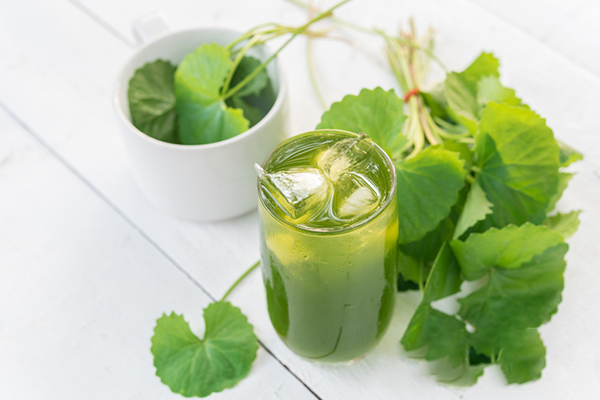 Uống nước rau má có thể hỗ trợ trị mụn