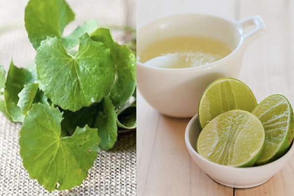 Rau má và chanh giúp diệt vi khuẩn gây mụn và ngừa thâm hiệu quả
