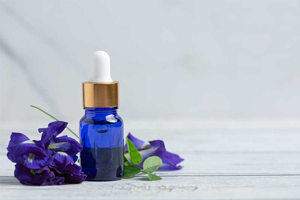 Toner hoa đậu biếc giúp cấp ẩm và làm sạch các ổ mụn