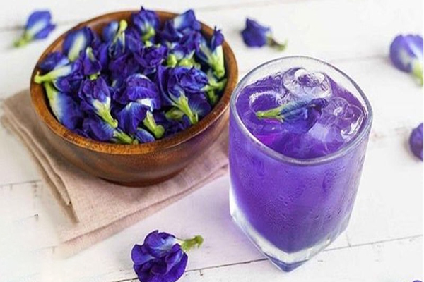 Uống trà hoa đậu biếc cũng giúp trị mụn