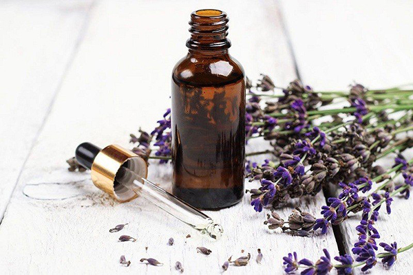 Tinh dầu hoa oải hương giúp chống oxy hóa cho da mụn