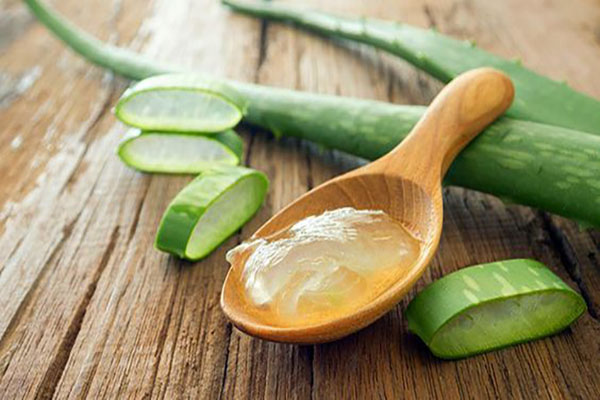 Gel nha đam chứa nhiều thành phần có thể làm xẹp mụn thịt