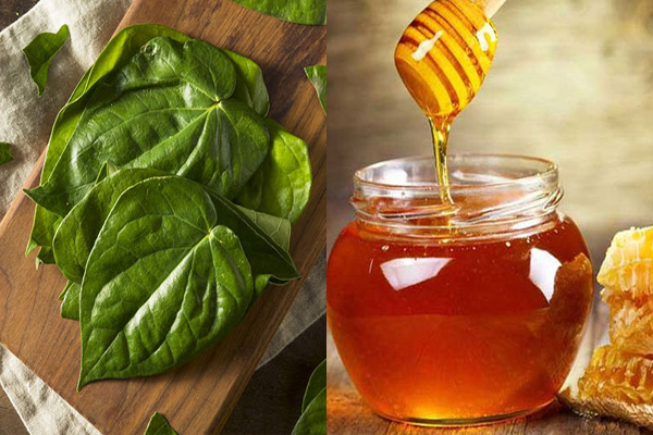 Mặt nạ trị nám với trầu không và mật ong