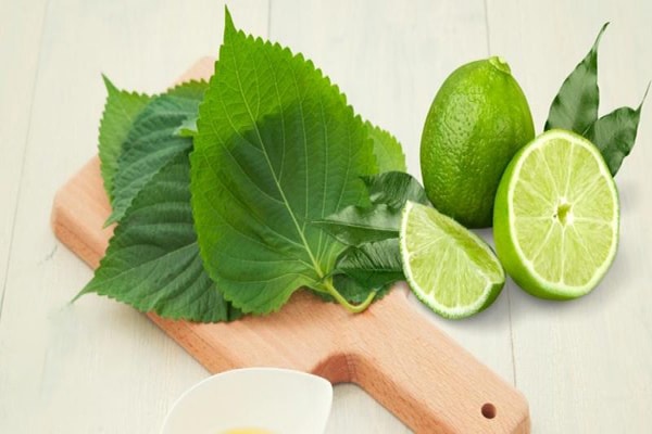 Lá tía tô và chanh là bộ đôi trị nám, trị mụn và dưỡng trắng da